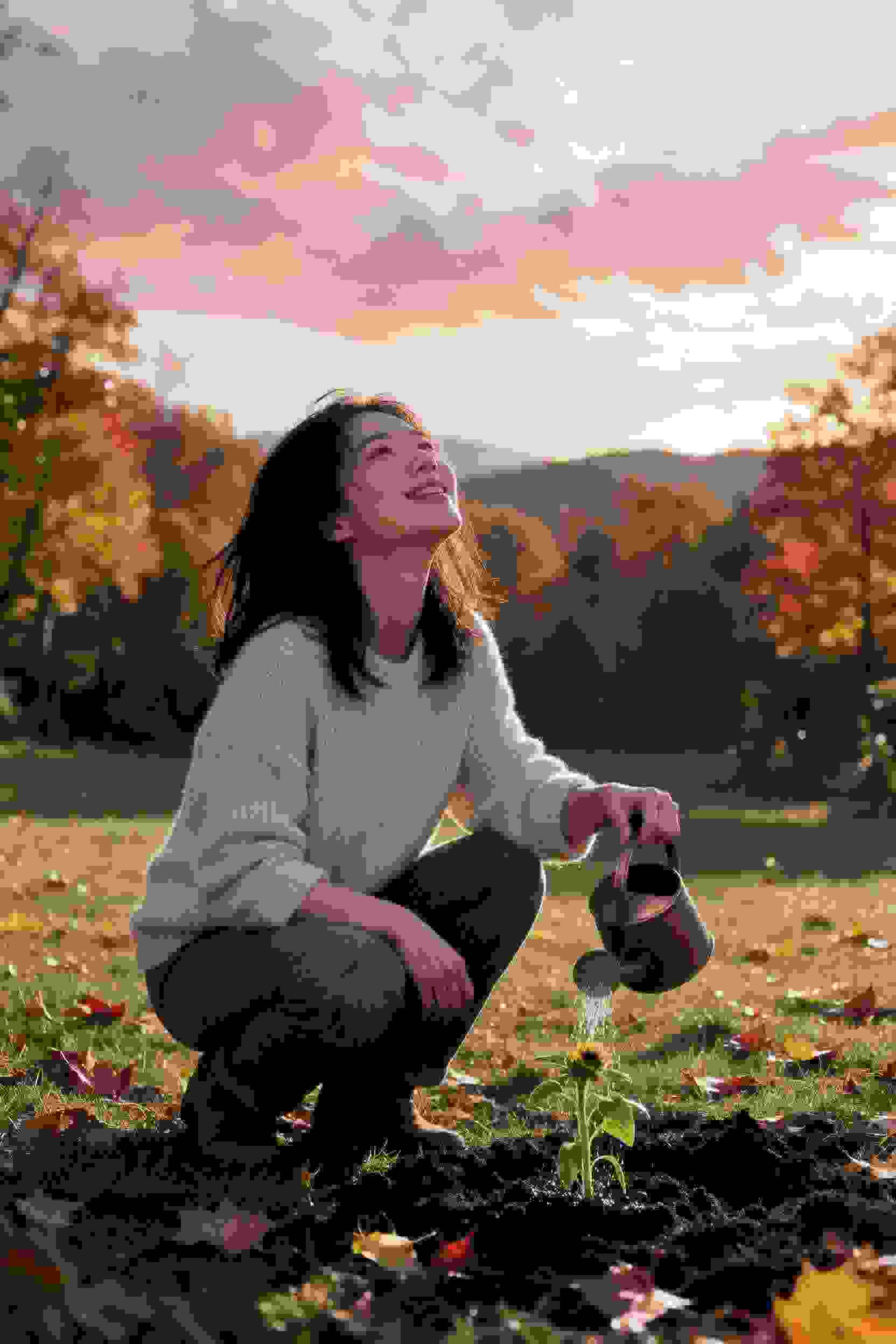 王朝的女人